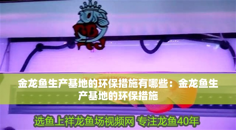 金龍魚生產(chǎn)基地的環(huán)保措施有哪些：金龍魚生產(chǎn)基地的環(huán)保措施