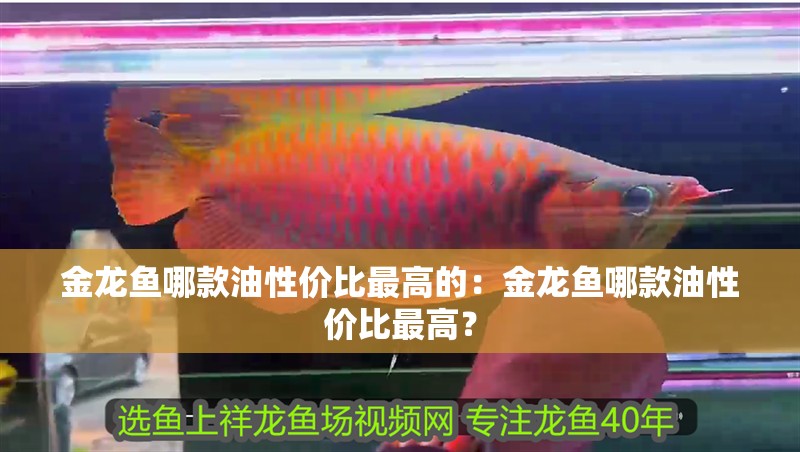 金龍魚哪款油性價比最高的：金龍魚哪款油性價比最高？