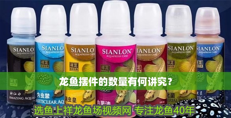 龍魚擺件的數(shù)量有何講究？ 龍魚擺件的數(shù)量有何講究？ 龍魚百科