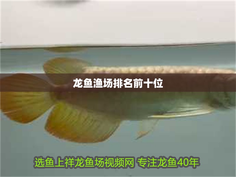 龍魚漁場排名前十位