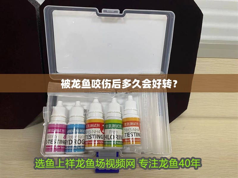 被龍魚咬傷后多久會好轉？