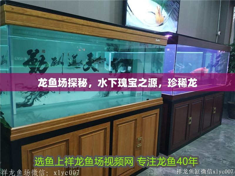 龍魚場探秘，水下瑰寶之源，珍稀龍
