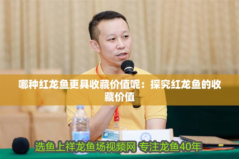 哪種紅龍魚更具收藏價值呢：探究紅龍魚的收藏價值