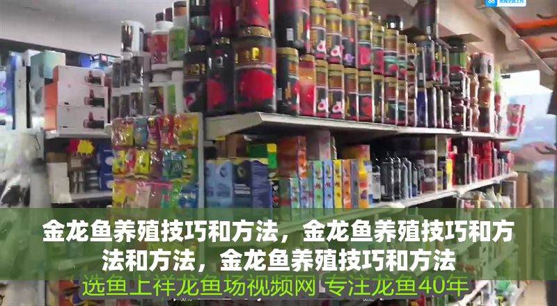 金龍魚養殖技巧和方法，金龍魚養殖技巧和方法和方法，金龍魚養殖技巧和方法 金龍魚養殖技巧和方法，金龍魚養殖技巧和方法和方法，金龍魚養殖技巧和方法 龍魚百科 第2張