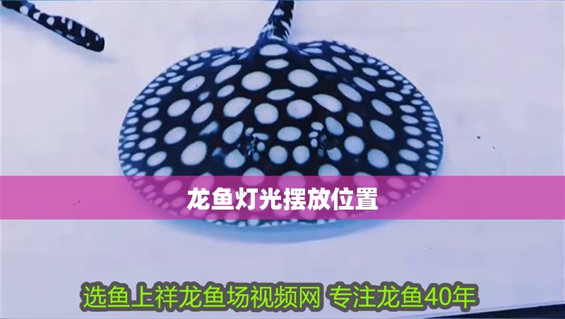 龍魚燈光擺放位置