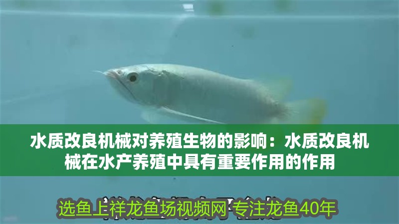 水質(zhì)改良機(jī)械對養(yǎng)殖生物的影響：水質(zhì)改良機(jī)械在水產(chǎn)養(yǎng)殖中具有重要作用的作用