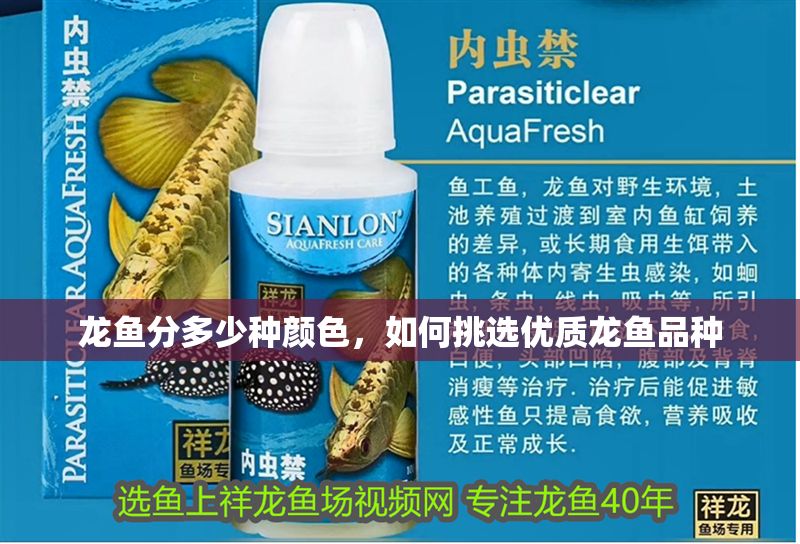 龍魚分多少種顏色，如何挑選優質龍魚品種