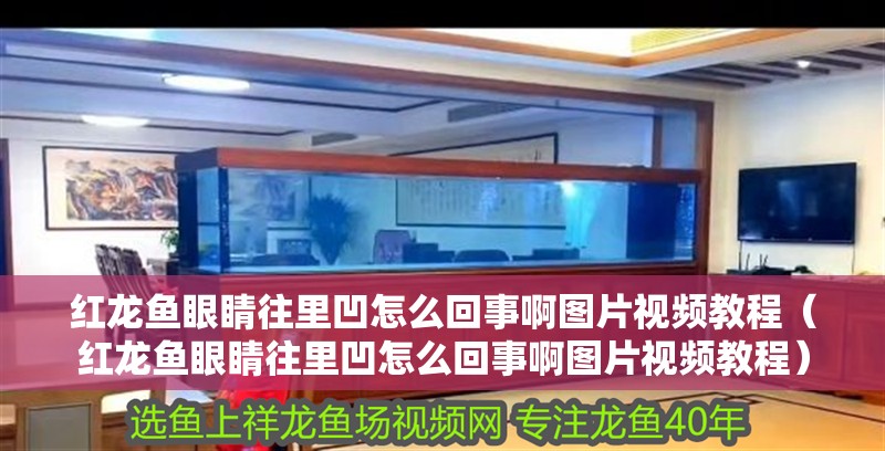 紅龍魚(yú)眼睛往里凹怎么回事啊圖片視頻教程（紅龍魚(yú)眼睛往里凹怎么回事啊圖片視頻教程）