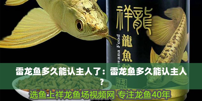雷龍魚多久能認主人了：雷龍魚多久能認主人？