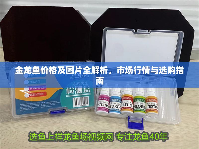 金龍魚價格及圖片全解析，市場行情與選購指南