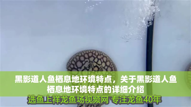 黑影道人魚棲息地環境特點，關于黑影道人魚棲息地環境特點的詳細介紹