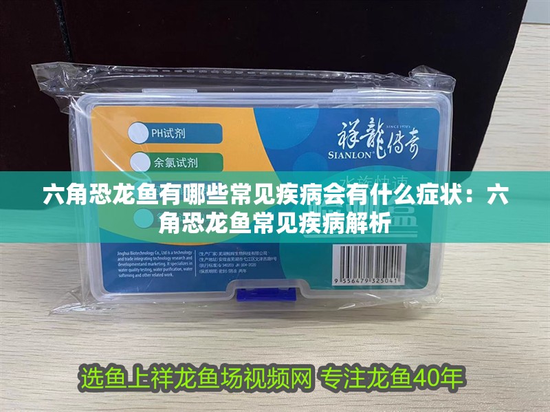 六角恐龍魚有哪些常見疾病會有什么癥狀：六角恐龍魚常見疾病解析