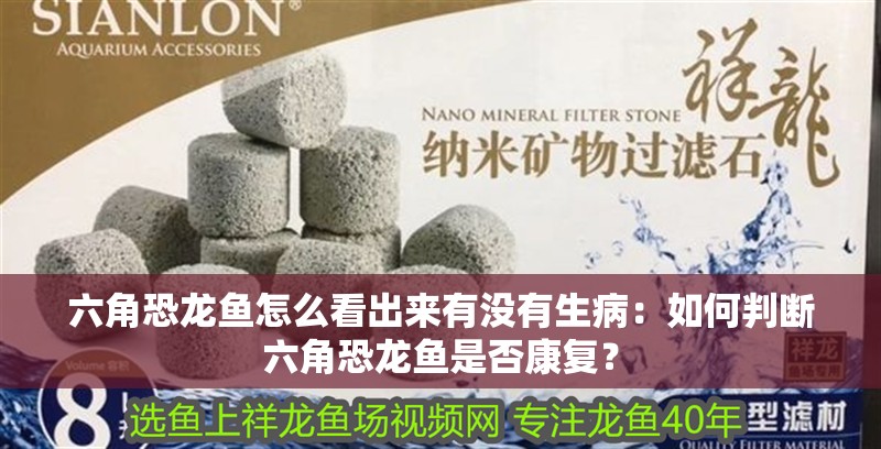 為什么都養金龍魚：養金龍魚需要一定的專業知識和技巧，金龍魚飼養技巧 為什么都養金龍魚：養金龍魚需要一定的專業知識和技巧，金龍魚飼養技巧 龍魚百科