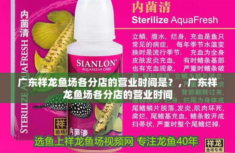廣東祥龍魚場各分店的營業時間是？，廣東祥龍魚場各分店的營業時間