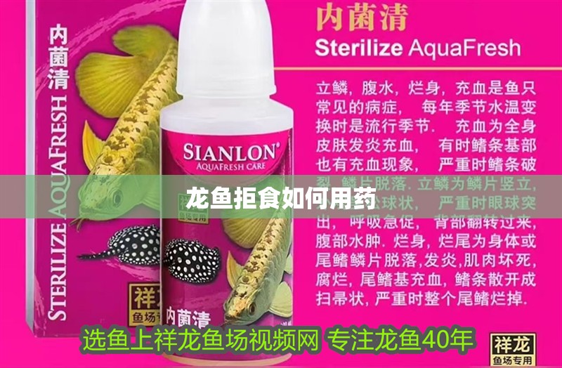 龍魚拒食如何用藥