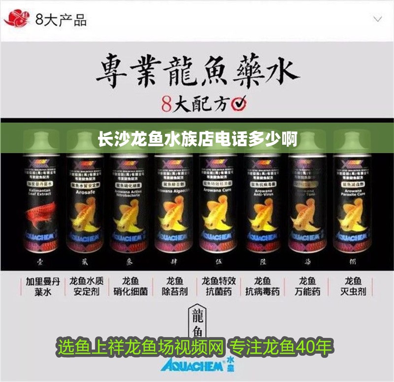長沙龍魚水族店電話多少啊