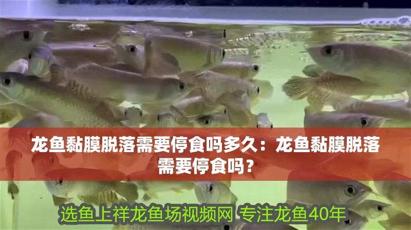 龍魚黏膜脫落需要停食嗎多久：龍魚黏膜脫落需要停食嗎？