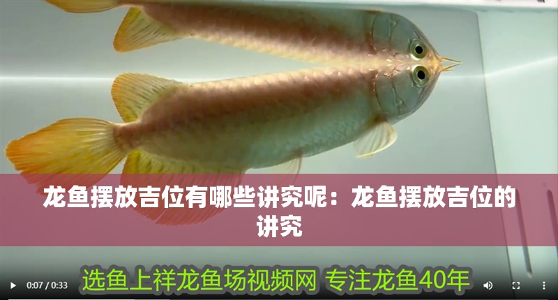 魚缸過濾器選購指南:自制魚缸過濾器魚缸上置過濾器對于養魚愛好者的必備知識 龍魚擺放吉位有哪些講究呢:龍魚擺放吉位的講究 水族問答 龍魚擺放吉位有哪些講究呢:龍魚擺放吉位的講究 龍魚擺放吉位有哪些講究呢:龍魚擺放吉位的講究 水族問答