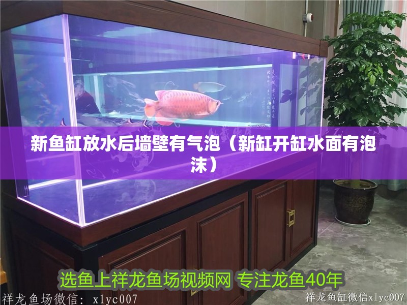 魚缸過濾器選購指南:自制魚缸過濾器魚缸上置過濾器對于養魚愛好者的必備知識 新魚缸放水后墻壁有氣泡(新缸開缸水面有泡沫) 銀龍魚百科 新魚缸放水后墻壁有氣泡(新缸開缸水面有泡沫) 新魚缸放水后墻壁有氣泡(新缸開缸水面有泡沫) 銀龍魚百科