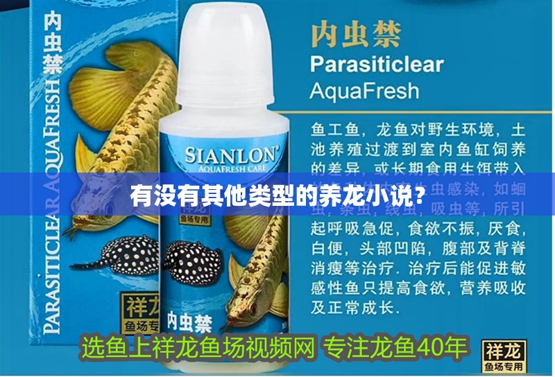 有沒有其他類型的養龍小說？