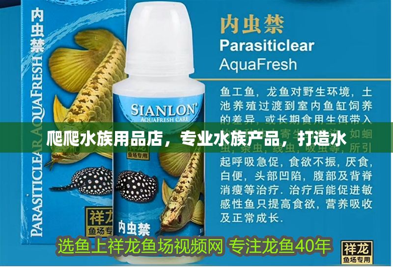 爬爬水族用品店，專業水族產品，打造水