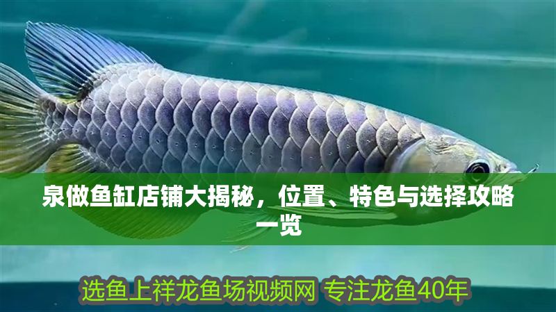 泉做魚缸店鋪大揭秘，位置、特色與選擇攻略一覽 泉做魚缸店鋪大揭秘，位置、特色與選擇攻略一覽 全國水族館企業名錄 第1張