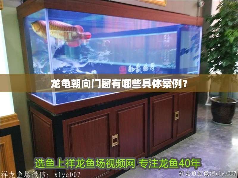 龍龜朝向門窗有哪些具體案例？