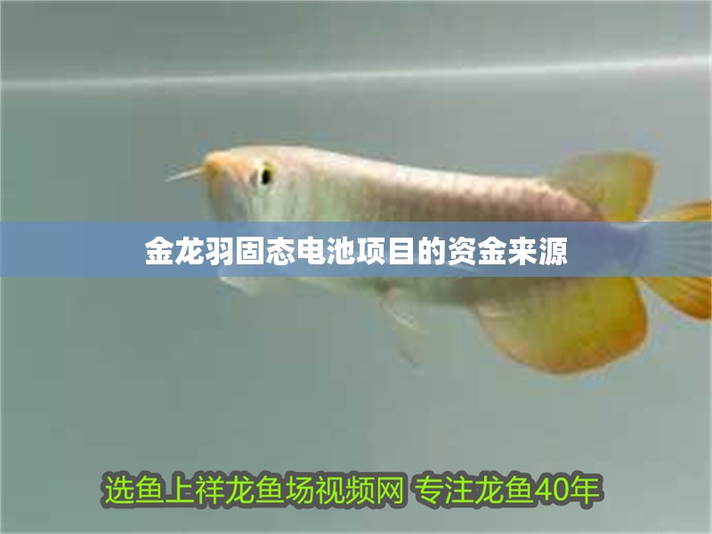 金龍羽固態電池項目的資金來源