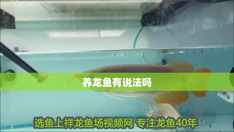養龍魚有說法嗎