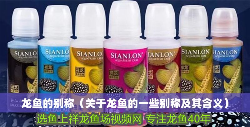龍魚的別稱（關(guān)于龍魚的一些別稱及其含義）