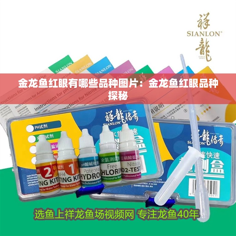金龍魚紅眼有哪些品種圖片：金龍魚紅眼品種探秘