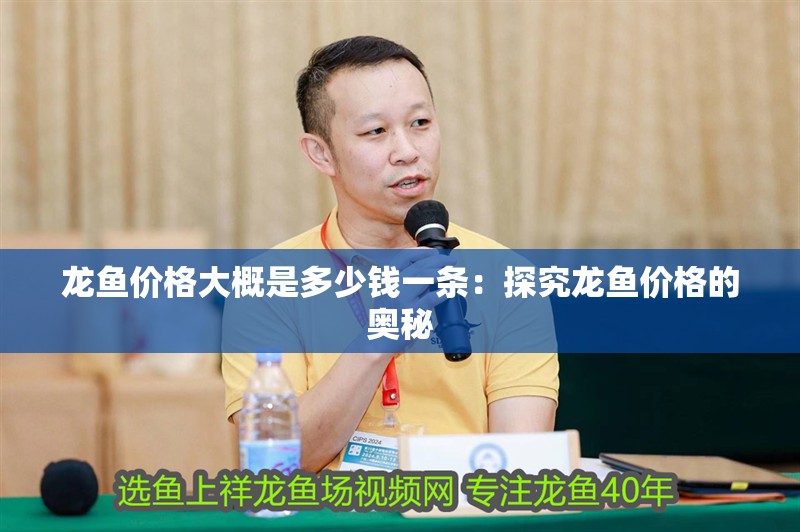 龍魚價格大概是多少錢一條：探究龍魚價格的奧秘