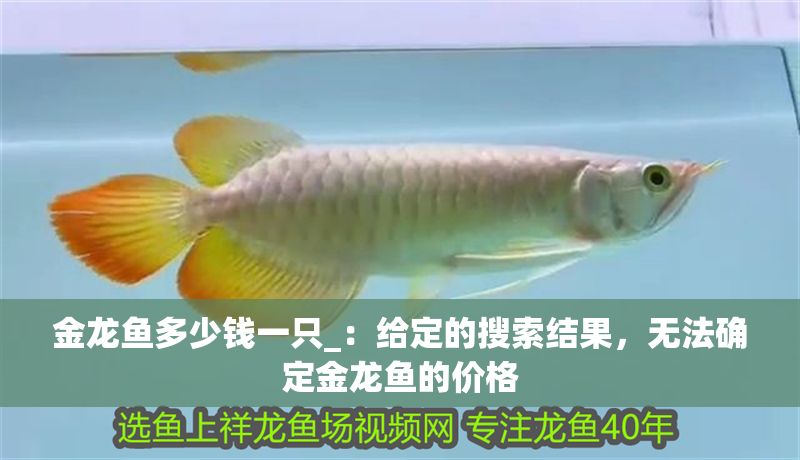 金龍魚多少錢一只_：給定的搜索結果，無法確定金龍魚的價格