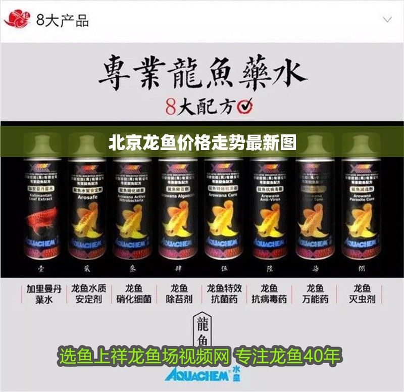 北京龍魚價格走勢最新圖