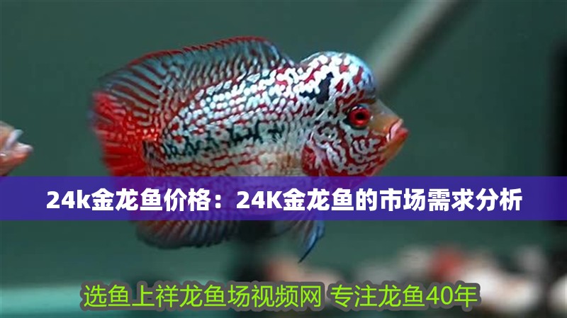 24k金龍魚價(jià)格：24K金龍魚的市場(chǎng)需求分析