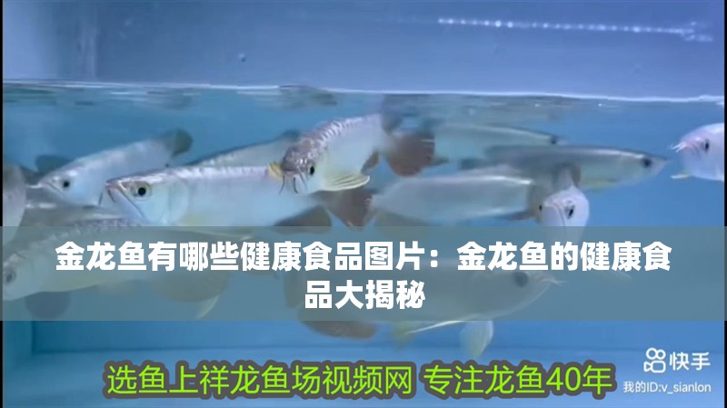 金龍魚有哪些健康食品圖片：金龍魚的健康食品大揭秘