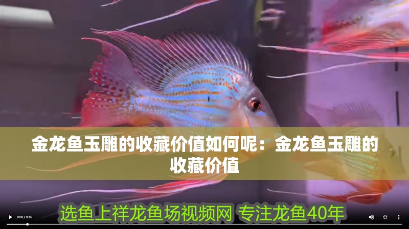 金龍魚玉雕的收藏價值如何呢：金龍魚玉雕的收藏價值