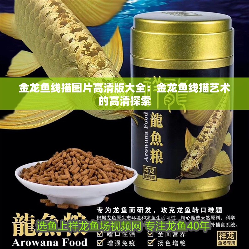 金龍魚線描圖片高清版大全：金龍魚線描藝術的高清探索