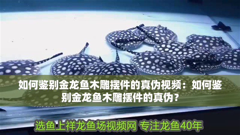 如何鑒別金龍魚木雕擺件的真偽視頻：如何鑒別金龍魚木雕擺件的真偽？