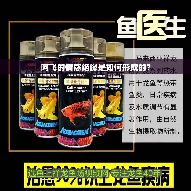 阿飛的情感絕緣是如何形成的？