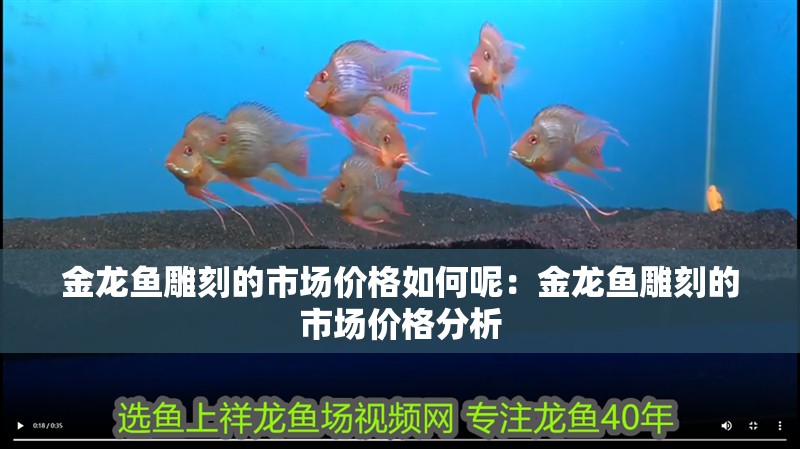 金龍魚雕刻的市場價格如何呢：金龍魚雕刻的市場價格分析