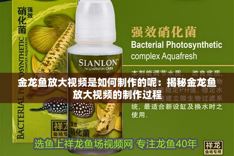 金龍魚放大視頻是如何制作的呢：揭秘金龍魚放大視頻的制作過程