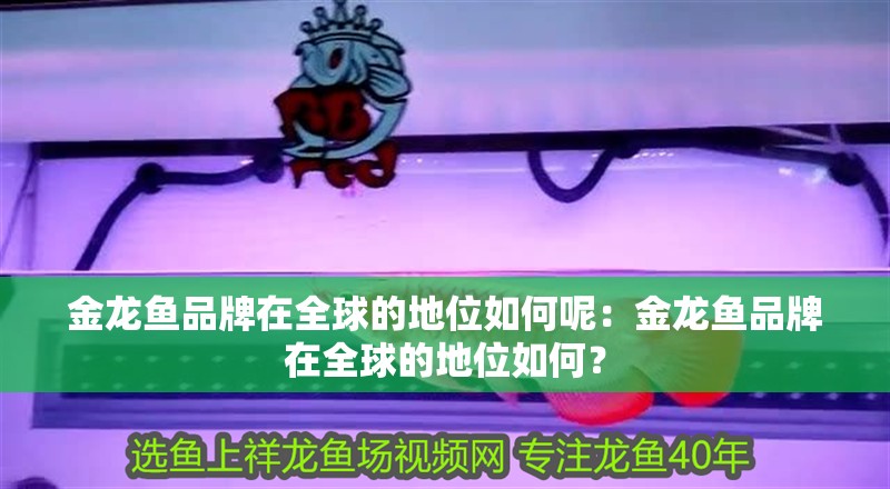 金龍魚品牌在全球的地位如何呢：金龍魚品牌在全球的地位如何？