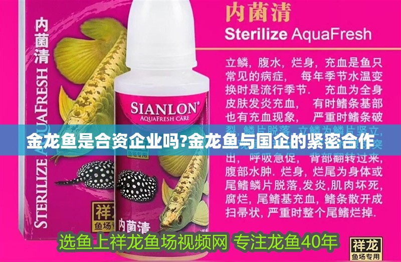 金龍魚是合資企業(yè)嗎?金龍魚與國企的緊密合作