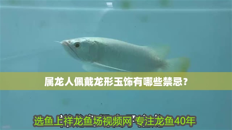 屬龍人佩戴龍形玉飾有哪些禁忌？