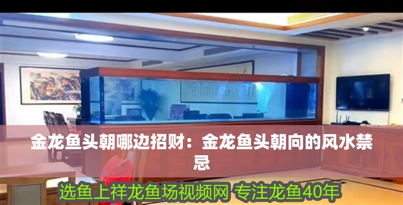 金龍魚頭朝哪邊招財：金龍魚頭朝向的風水禁忌