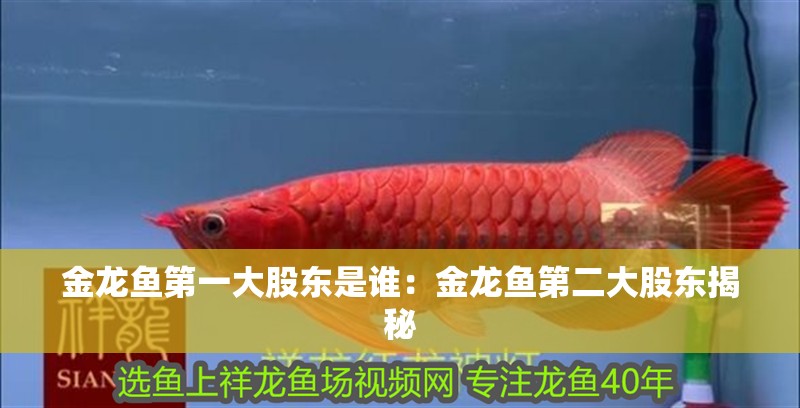 金龍魚第一大股東是誰：金龍魚第二大股東揭秘