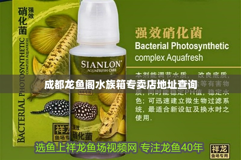 成都龍魚閣水族箱專賣店地址查詢