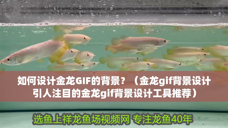 如何設計金龍GIF的背景？（金龍gif背景設計引人注目的金龍gif背景設計工具推薦）