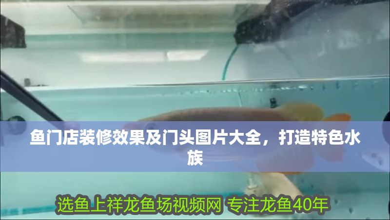 魚門店裝修效果及門頭圖片大全，打造特色水族 魚門店裝修效果及門頭圖片大全，打造特色水族 全國水族館企業名錄 第1張